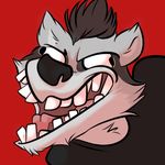  brown_hair clothing derp flat_colors fur grey_fur hair humor jonas male mammal meme plain_background portrait raccoon red_background shirt simple_background solo teeth 