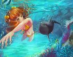  air_bubble barefoot bikini brown_hair bubble coral dolphin fish freediving gobaku_no_hito green_eyes hair_bobbles hair_ornament long_hair looking_back original side-tie_bikini solo striped striped_bikini swimming swimsuit twintails underwater 