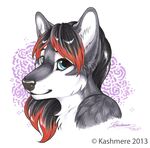  bust canine cute female fur jacki_northstar kashmere looking_at_viewer mammal portrait solo white_fur wolf 