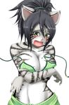  bikini breasts clothing embarrassed feline female haku89 mammal open_mouth swimsuit tiger tight_clothing unknown_artist wardrobe_malfunction white_tiger yaise yellow_eyes 