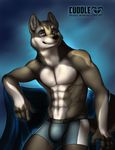 abs abstract_background anthro biceps big_muscles black_nose blue_background blue_eyes boxers brown_fur bulge canine chair dog front fur grin looking_at_viewer male mammal muscles pecs plain_background pose sitting smile solo tan_fur toned topless tyins_darkwulf underwear vallhund wolf 