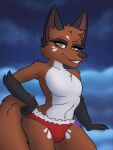 3:4 amanda_moon anthro belly biped black_arms black_ears black_nose canid canine cheek_markings cheek_tuft christmas claws clothing eyebrows eyelashes facial_markings facial_tuft femboy finger_claws fog fox fox_tail fur fur_markings generation_8_pokemon grinning_at_viewer half-length_portrait head_markings heart_nose heart_symbol hi_res holidays male mammal markings nickit night nintendo orange_body orange_fur panties pawpads pokemon pokemon_(species) portrait pseudo_eyeshadow pseudo_gloves red_clothing red_panties red_underwear signature sky sky_background skyscape slim solo tuft underwear white_belly white_eyebrows white_markings white_waistband yellow_eyes