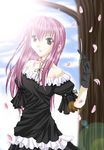  cherry_blossoms chikage_(sister_princess) gloves sister_princess tagme 