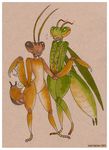  abdomen ambiguous_gender antennae arthropod duo insect mandibles mantis seel_kaiser wings 