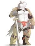  7? anthro armor biceps big_muscles blue_eyes bulge canine fundoshi fur grey_fur gudam kemono loincloth male mammal muscles pecs plain_background pointless_armor pose solo standing sword topless underwear weapon wolf 