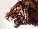  ambiguous_gender blackpassion777 fangs feline mammal open_mouth plain_background portrait roaring solo tiger whiskers 