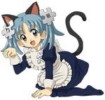  blue_eyes blue_hair cat_ears catgirl female hair human kasuga maid_uniform mammal wikipe-tan wikipedia 