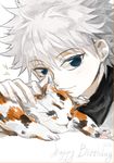  2013 animal blue_eyes calico cat close-up floweringheart happy_birthday hunter_x_hunter killua_zoldyck looking_at_viewer male_focus petting smile solo white_hair 