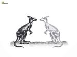  couple grey_body greyscale kangaroo mammal marsupial monochrome plain_background symmetry white_background white_body yell0whale yellowhale 
