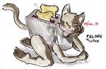  blush bread brown_fur cat cyborg daigaijin dialog feline female food fur good invalid_tag licking looking_at_viewer mammal mechanical paws pose presenting solo suggestive text toast toaster toaster_(species) tongue tongue_out what what_has_science_done 