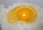  chaostarou egg food no_humans original photorealistic rice still_life tamagokake_gohan 