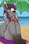  adi amber_eyes beach beach_umbrella canine cleavage clothed clothing female fur grey_fur hair inkyblot mammal purple_hair seaside sitting smile umbrella water 