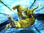  biceps body_markings brown_fur clothing eyewear feline fur goggles male mammal markings morenatsu muscles pawpads paws pecs pool pose solo stripes swimming swimsuit tiger topless torahiko torahiko_ooshima underwater unknown_artist water white_fur yellow_fur 