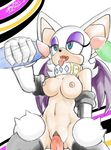  bat breasts clitoris collar english_text female group handjob male mammal nipples on_top open_mouth penetration penis pussy reverse_cowgirl_position ricocake rogue_the_bat rouge_the_bat sega sex sonic_(series) straight text tongue tongue_out vaginal vaginal_penetration wings 