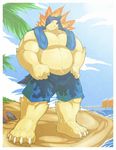  5_toes anthro barefoot beach biceps big_muscles chubby fire male muscles nintendo outside pok&#233;mon pok&eacute;mon rikitsu seaside sky swimsuit toes topless trunks_(clothing) typhlosion video_games water 