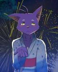  clothing feline fireworks fur happy japanese_clothing kimono lending_hand looking_at_viewer male mammal morenatsu night night_sky purple_fur shin_kuroi shun_hibino sky solo yellow_eyes 