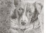  2012 abstract_background black_eyes canine dog feral fur graphite greyscale looking_at_viewer mammal monochrome pawprints recreationbeast solo text traditional_media whiskers 