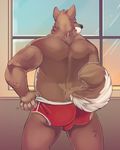  anthro biceps big_muscles bulge butt canine claws dog fur horrorbuns husky male mammal muscles solo standing underwear window 