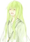  bad_id bad_pixiv_id enkidu_(fate/strange_fake) fate/strange_fake fate_(series) green_hair long_hair male_focus shirako_miso solo tears 