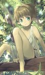  bad_id bad_pixiv_id barefoot brown_hair bug butterfly elf green_eyes insect male_focus original pointy_ears robe smile solo tree yuki_(vicious) 