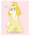 arrogantboy blush canine dog female flat_chested isabelle_(animal_crossing) kneeling mammal nintendo nude pussy solo video_games 