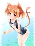  animal_ears brown_hair cat_ears one-piece_swimsuit red_eyes s-ram school_swimsuit short_hair silica silica_(sao-alo) solo swimsuit sword_art_online tail twintails 