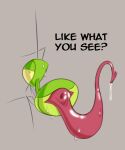 5:6 arthropod arthropod_abdomen arthropod_abdomen_genitalia bodily_fluids butt feral genital_fluids genitals hhbrother insect leaking_precum male manny_(hhbrother) mantis penis precum prehensile_penis presenting presenting_hindquarters simple_background sketch solo sweat text unusual_anatomy unusual_genitalia