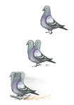  bird commentary_request fire motion_blur no_humans noja original pigeon running simple_background white_background 
