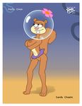  ross sandy_cheeks spongebob_squarepants tagme 