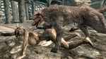  argonian dog skyrim tagme 