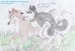  balto balto_(character) steele tagme the_cooler 