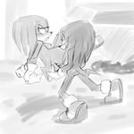  bluechika knuckles_the_echidna rule_63 sonic_team tagme 