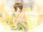  cardcaptor_sakura kero sakura_kinomoto tagme 