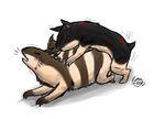  furret jklol porkyman quilava tagme 