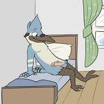  avian balls bird blue_jay erection male mordecai morning_wood penis regular_show shysketch solo 