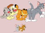  garfield jerry nermal nibbles odie tom tom_and_jerry 