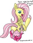  fluttershy friendship_is_magic my_little_pony novaspark pinkie_pie 