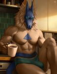 anthro blue_body blue_eyes blue_fur brown_body brown_fur bulge canid canine clothing coffee_mug digital_media_(artwork) digitigrade domestic_setting fluffy fluffy_chest fur green_clothing green_underwear inside kitchen levsha male mammal mask morning muscular original_character realistic_lighting relaxing semi-realistic sitting solo solo_focus tail thighs underwear