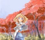  alice_margatroid autumn blonde_hair nature solo touhou yohane 