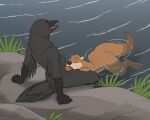 2025 3_toes 4_fingers 5_fingers ambiguous_gender ambiguous_penetrated anthro anthro_on_anthro anthro_penetrated anthro_penetrating anthro_penetrating_anthro avian beak bird brown_body brown_fur brown_tail butt claws corvid corvus_(genus) countershade_torso countershading crow digital_media_(artwork) duo eyes_closed feathers feet finger_claws fingers fur genitals grey_body grey_feathers grey_tail hi_res jishinu male male/ambiguous male_penetrating male_penetrating_ambiguous mammal mustelid nude nude_ambiguous nude_anthro oscine otter outside passerine penetration penis penis_in_mouth scuted_arms scutes sex sitting smile spread_legs spreading tail toe_claws toes