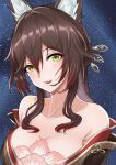  1girl animal_ear_fluff animal_ears bare_shoulders breasts brown_hair collarbone commentary_request fox_ears fox_girl fugue_(honkai:_star_rail) green_eyes hair_between_eyes hair_ornament highres honkai:_star_rail honkai_(series) kakabos large_breasts looking_at_viewer night night_sky open_mouth sky smile solo star_(sky) starry_sky tingyun_(honkai:_star_rail) upper_body 