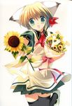  absurdres animal_ears artist_request blonde_hair copyright_request flower green_eyes highres solo sunflower thighhighs 