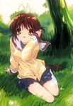  absurdres antenna_hair artist_request brown_eyes brown_hair clannad day furukawa_nagisa grass happy highres hikarizaka_private_high_school_uniform nature official_art school_uniform sitting sky smile solo wind 