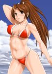  bikini day fatal_fury long_hair shiny shiny_skin shiranui_mai shu-z solo swimsuit the_king_of_fighters 