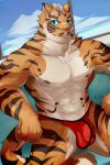 abs anthro breasts clothing connecting_y felid hi_res lin_hu male mammal nekojishi pantherine sitting solo stripes studio_klondike tiger underwear