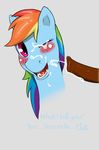  celticdog friendship_is_magic my_little_pony rainbow_dash tagme 
