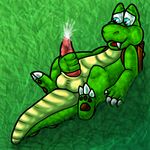  croc croc_legend_of_the_gobbos cuckoo tagme 