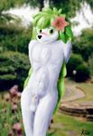  anthro blush flower garden girly legendary_pok&#233;mon looking_at_viewer male nintendo outside penis pok&#233;mon pok&#233;morph porkyman shaymin sheath shy smile solo the_roop video_games 