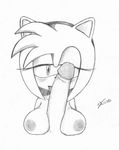  amy_rose excito sonic_team tagme 