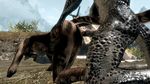  argonian gmod khajiit skyrim tagme 